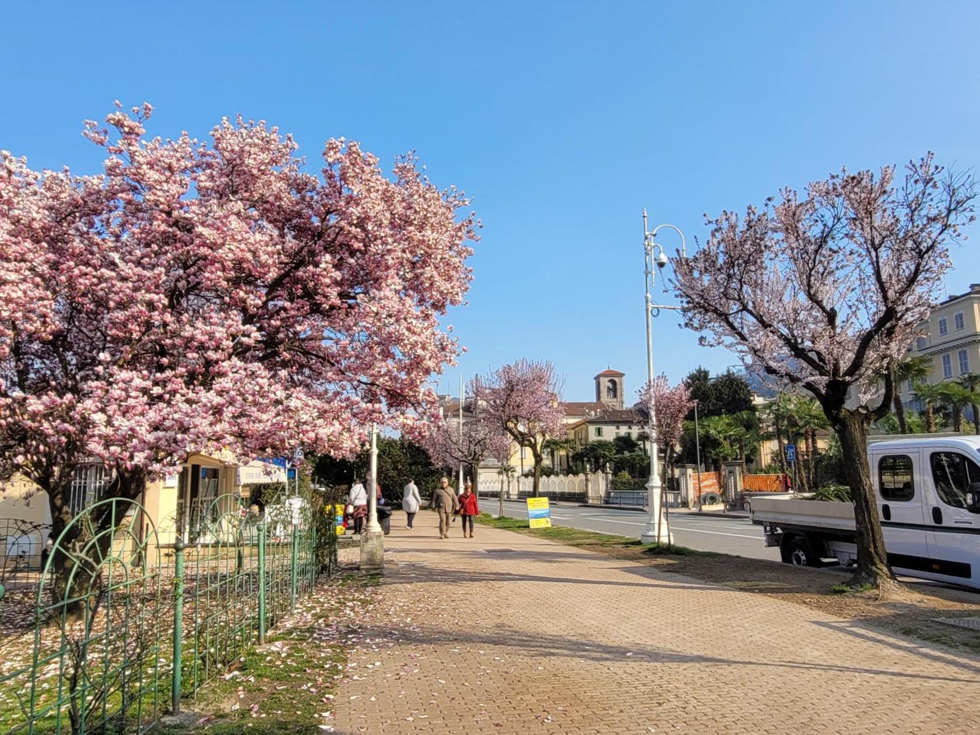 Al Dolce Vita Stresa Luaran gambar